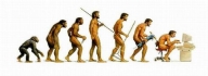 人类进化图