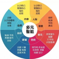 多元智能理论-加德纳（美）